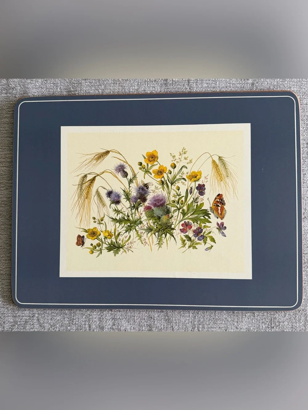 Set of Six Pimpernel English Butterfly Collection Cork-backed Placemats